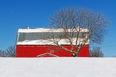 Barn Beyond Snow 21920