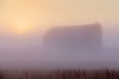 Barn In Sunrise Fog 22568
