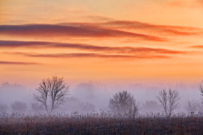 Sunrise Fog 20120324