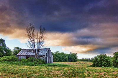 Barn In A Field 20120601