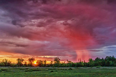 Sunrise Rain Shower 20120623