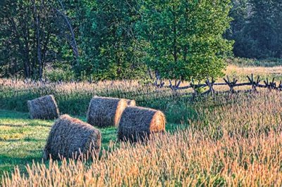 Sunrise Bales 27453