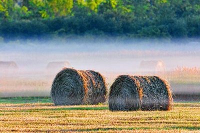 Mist Beyond Bales At Sunrise 20120703