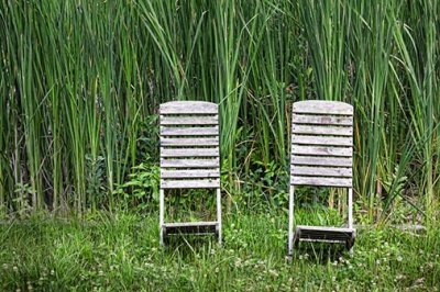 Old Chairs Beside Tall Grass 25134