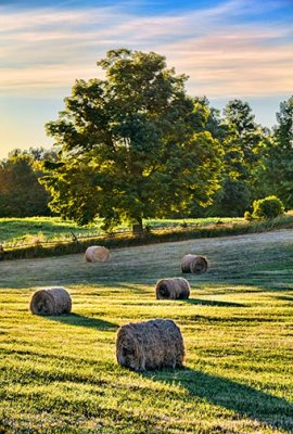 Bales At Sunrise 20120725