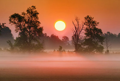 Misty Sunrise 20120826