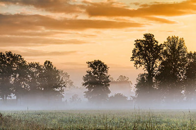 Misty Sunrise 26806