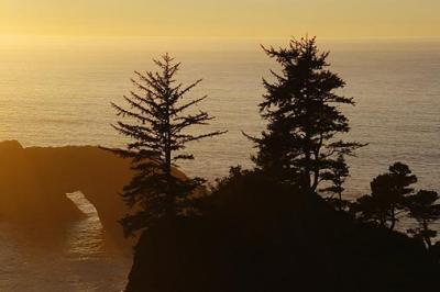 Oregon Coast at Sunset4