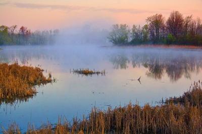 Morning Marsh Mist 20060505