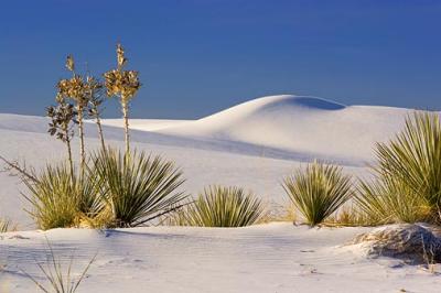 Our White Sands Experience