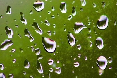 Window Raindrops 20060603