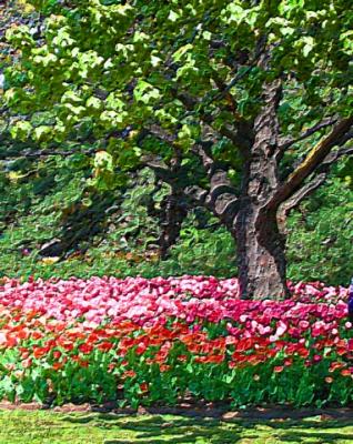 Tulips & Tree Art
