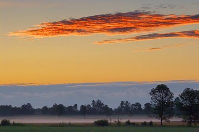 Red Cloud at Dawn