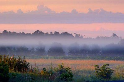 Early Morning Mist2