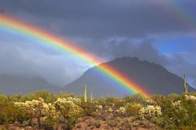 Desert Rainbow 76809