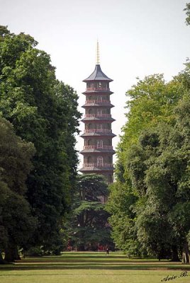 19799 - The Pagoda / Kew Gardens - Richmond - England