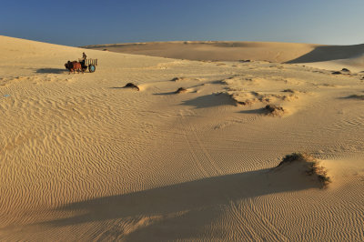 g4/75/507275/3/141905352.TTYqYtav.jpg