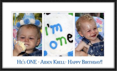 Aiden's First Birthday.jpg