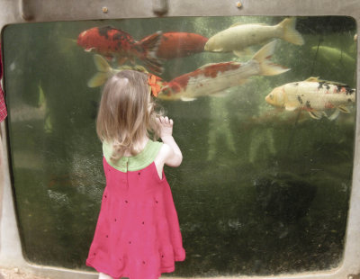 At the Dallas Zoo June 13, 2012