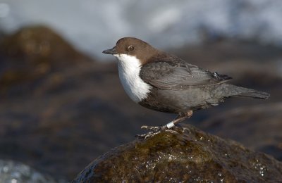 DS3_4894.jpg