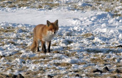 DSC_6370.jpg