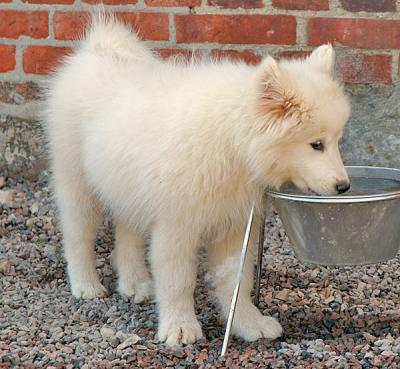 DSC_0053.jpg