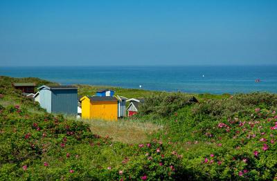 beach cabins.jpg