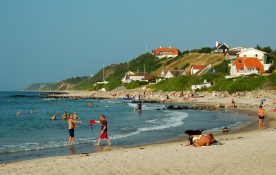 beach life 2.jpg