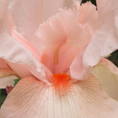 Spring 2011