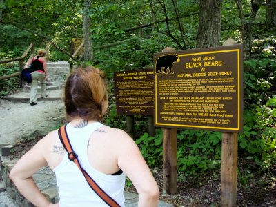 Natural Bridge State Park