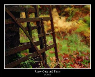 Gate and Ferns.jpg