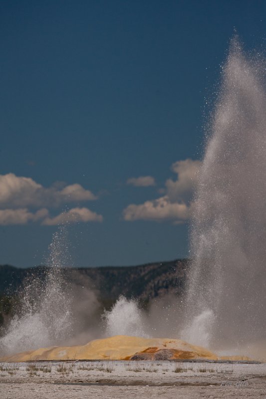 Montana Yellowstone-9875.jpg