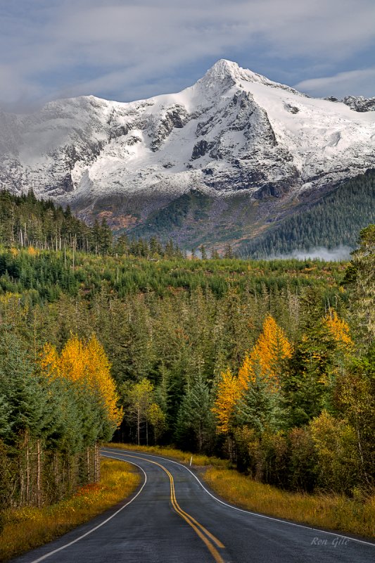 End of road fall colors-.jpg