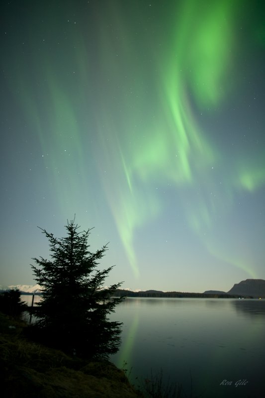 light show-0085.jpg