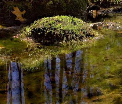 Spring Rock on Water