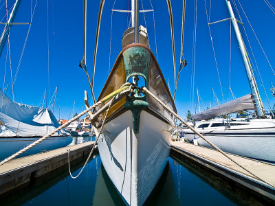 PC251685-2.jpg