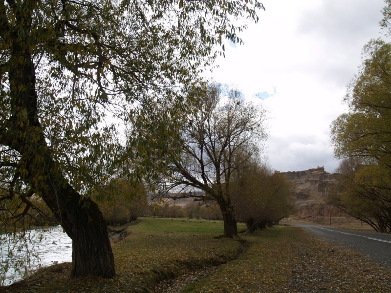 20071101 191.jpg