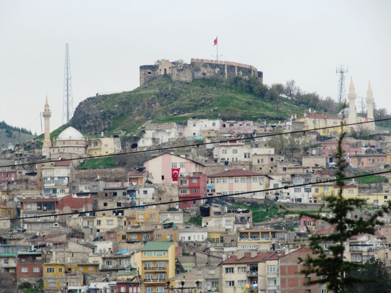 20110423 013.JPG