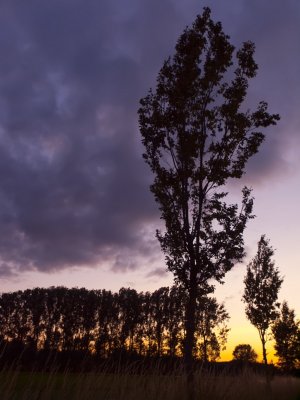 g4/75/644675/3/136120257.wFbejNmS.jpg