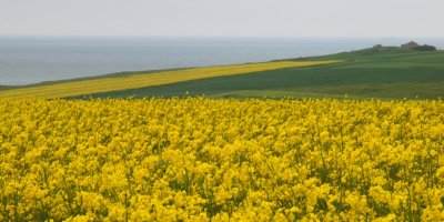 Op weg naar Cap Gris Nez