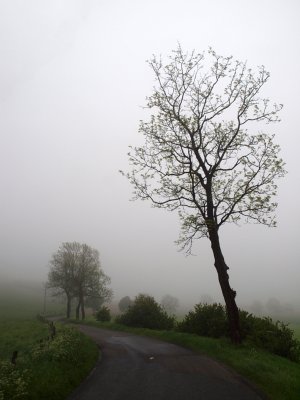 Le Verval in de mist