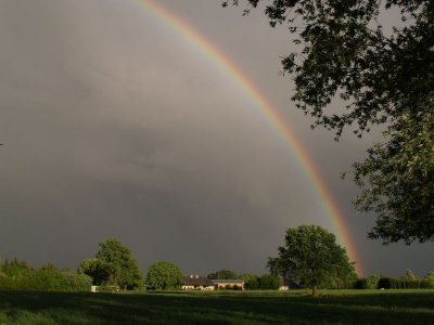 Regenboog