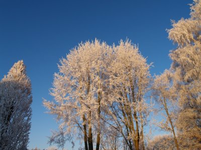 g4/75/644675/3/91254776.9KPIcpSf.jpg