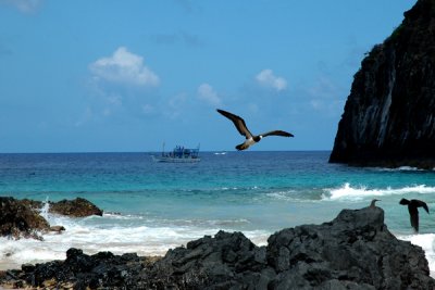 Praia Atalaia2
