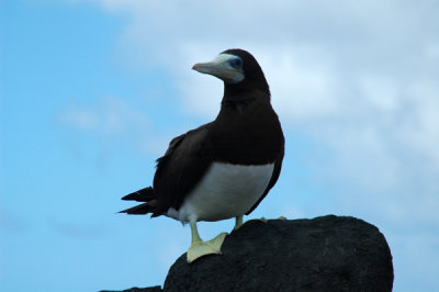 Praia Atalaia5