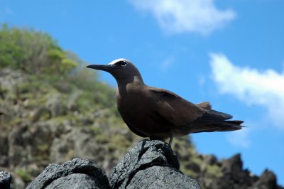 Praia Atalaia6