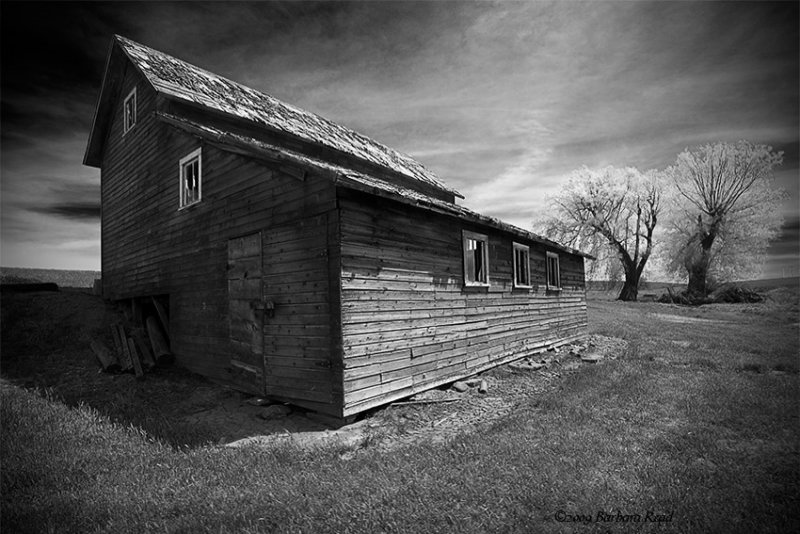 Old Shed