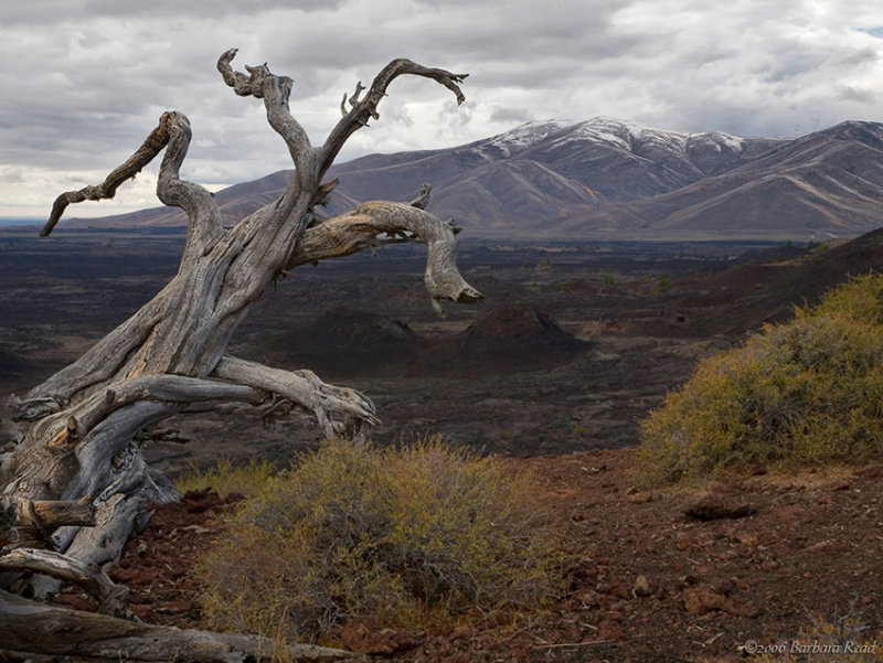 Craters of the Moon
