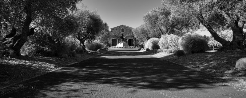 Black Stallion Winery in BW