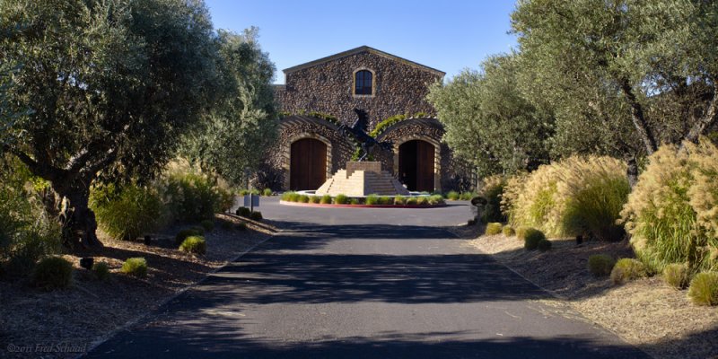 Black Stallion Winery 